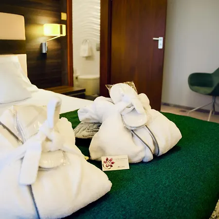 Szafran Hotel