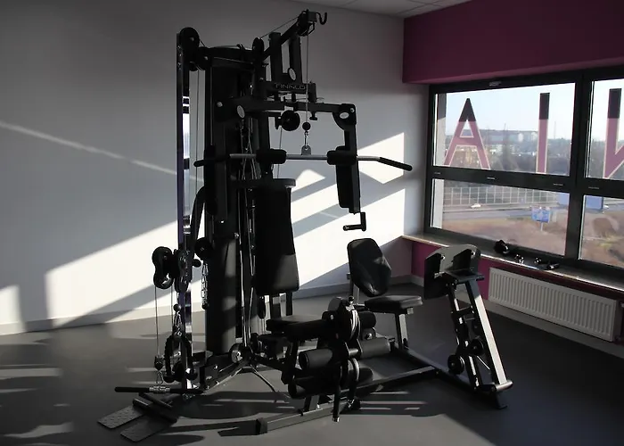 Szafran تشيلاش